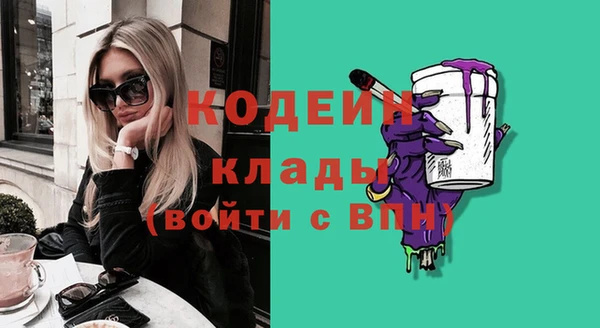 индика Надым