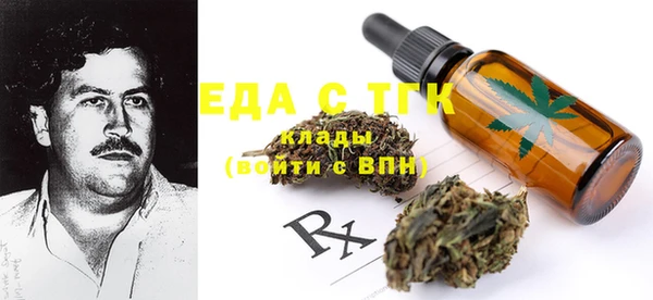 индика Надым