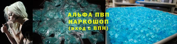 индика Надым