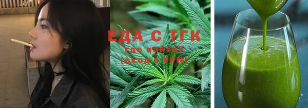 индика Надым