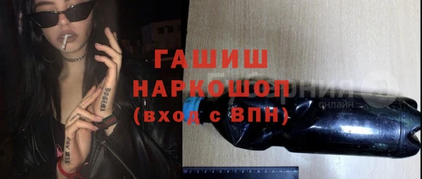 индика Надым