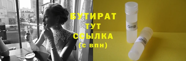 индика Надым