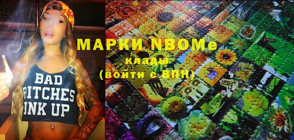 индика Надым