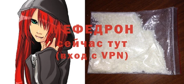 индика Надым