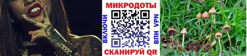 Галлюциногенные грибы MAGIC MUSHROOMS  наркотики  mega ссылки  Нижний Ломов 